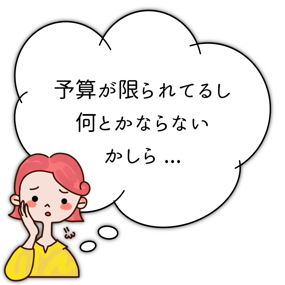 予算が限られてるし何とかならないかしら…