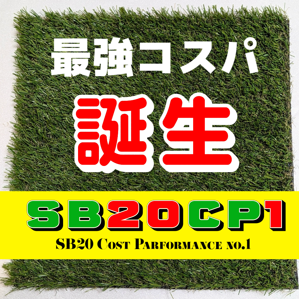 SB20CP1